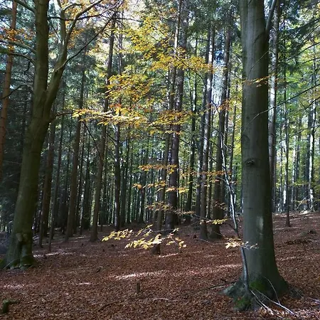Apartamento Laziste V Posazavi Pertoltice (Kutna Hora)